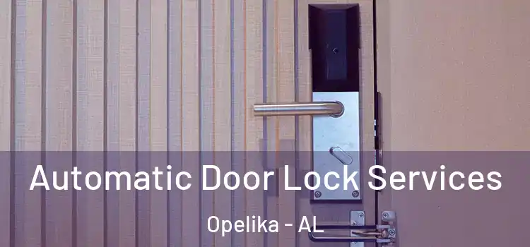 Automatic Door Lock Services Opelika - AL