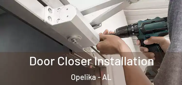 Door Closer Installation Opelika - AL
