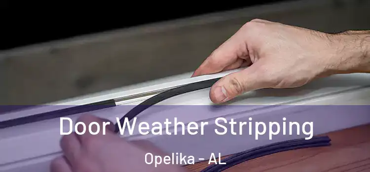 Door Weather Stripping Opelika - AL