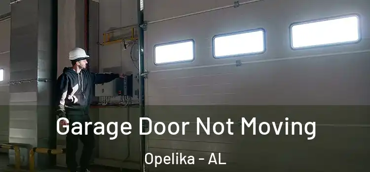  Garage Door Not Moving Opelika - AL