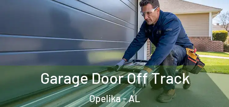  Garage Door Off Track Opelika - AL
