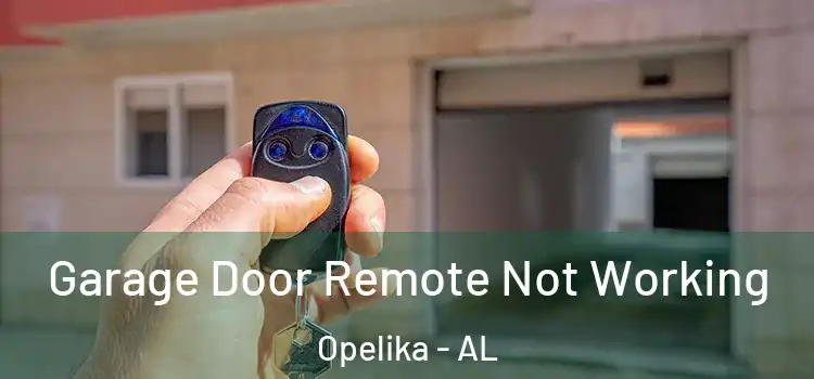  Garage Door Remote Not Working Opelika - AL