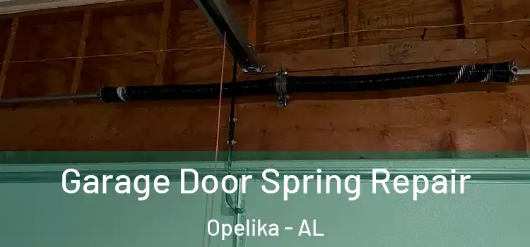  Garage Door Spring Repair Opelika - AL