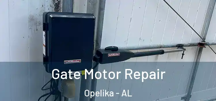 Gate Motor Repair Opelika - AL