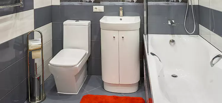 Hansgrohe Shaving Mirror Opelika