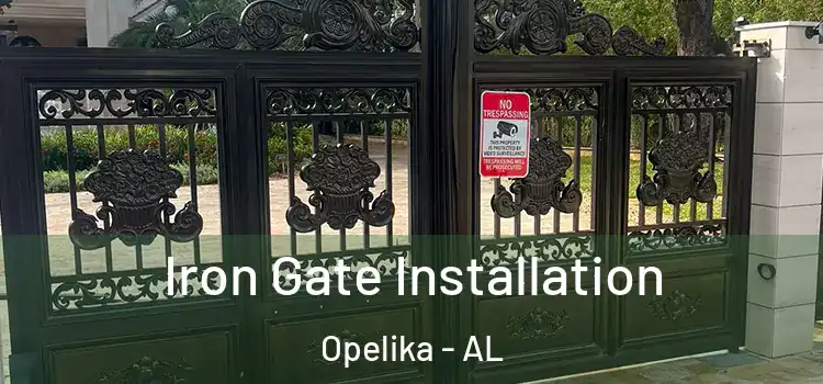 Iron Gate Installation Opelika - AL