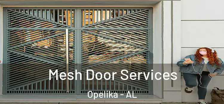 Mesh Door Services Opelika - AL