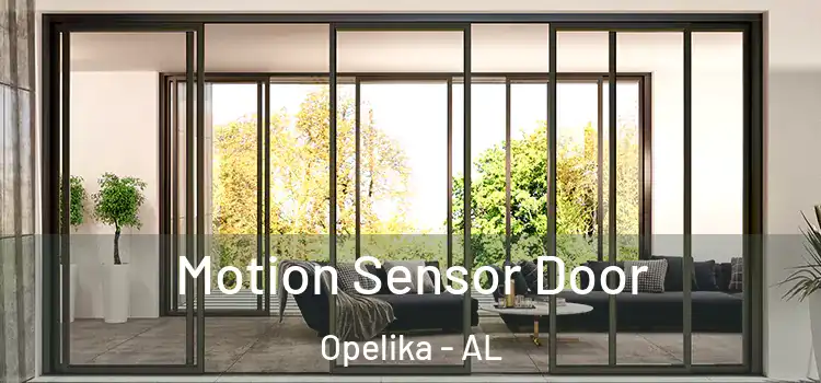Motion Sensor Door Opelika - AL