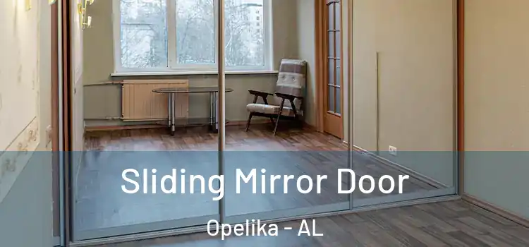  Sliding Mirror Door Opelika - AL