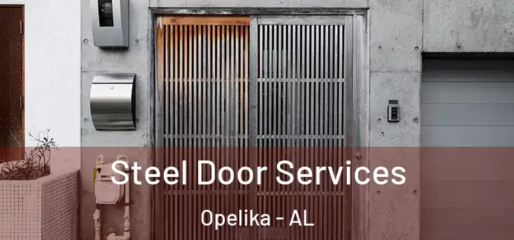 Steel Door Services Opelika - AL